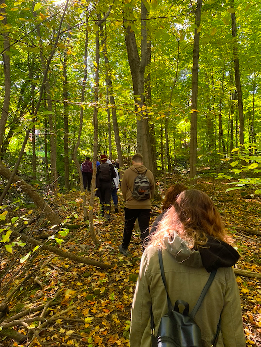 hike-fall-act-five-gap-year